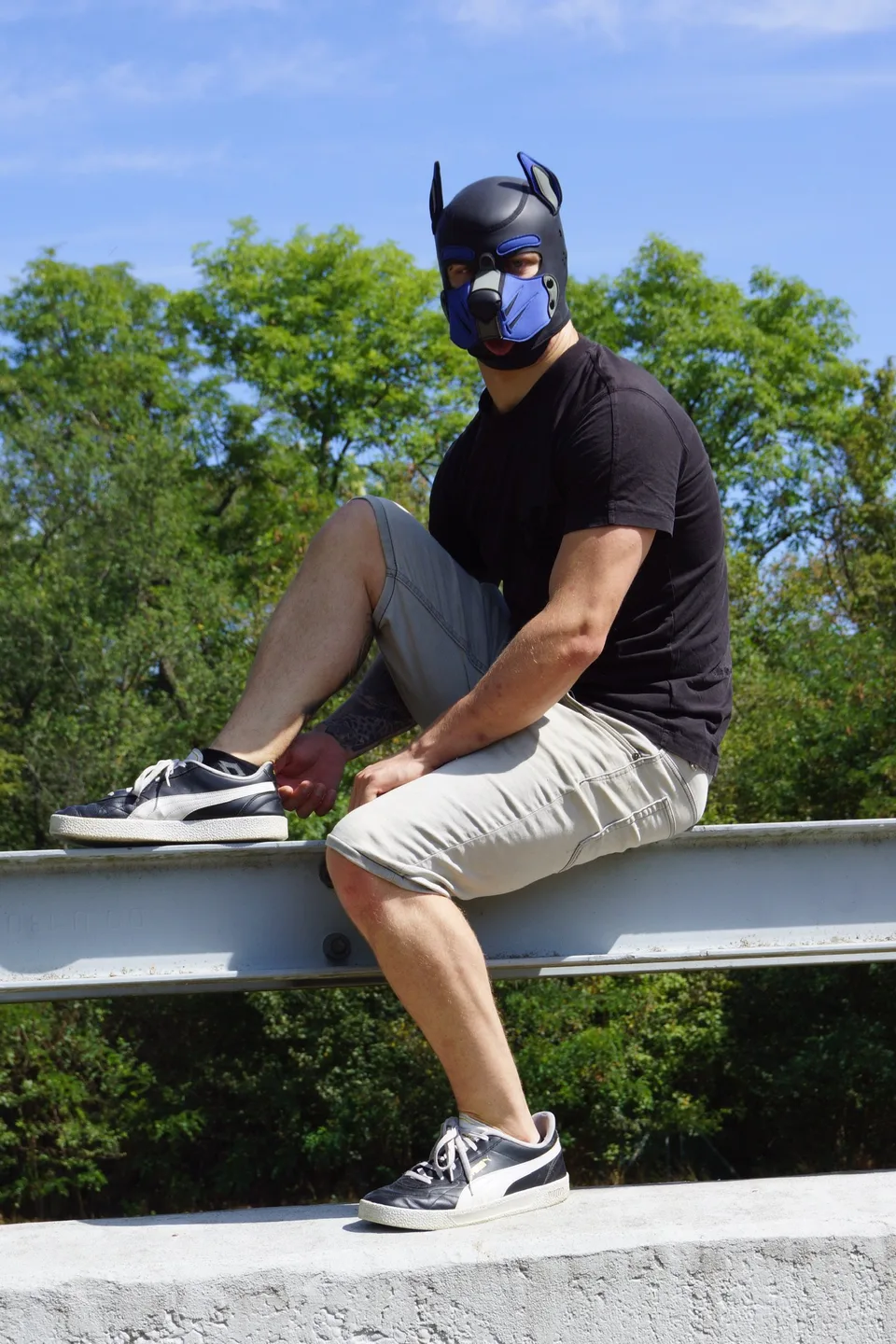 Pup Bacu sitting on a steel beam above the trees in Vienna